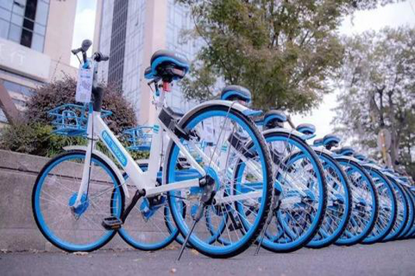 哈罗单车加盟费