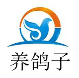 养鸽子