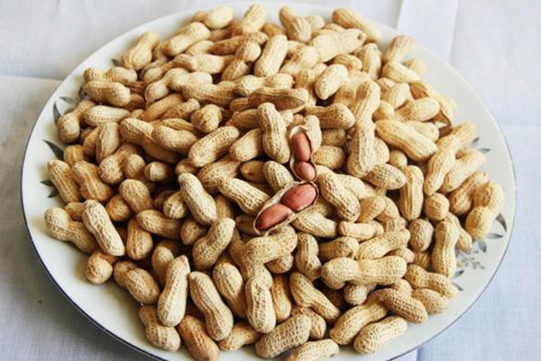 圣客干果炒货加盟，加盟圣客干果炒货生意红火赚钱多！