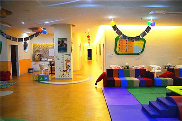 袋袋鼠早教加盟费