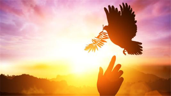 能力天空加盟店