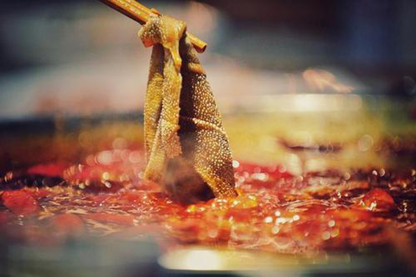 毛肚火锅加盟费