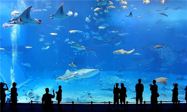 水族馆加盟，加盟水族馆_轻松赚钱！