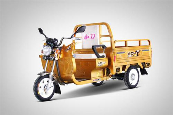 电动三轮车