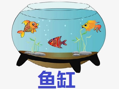 鱼缸加盟
