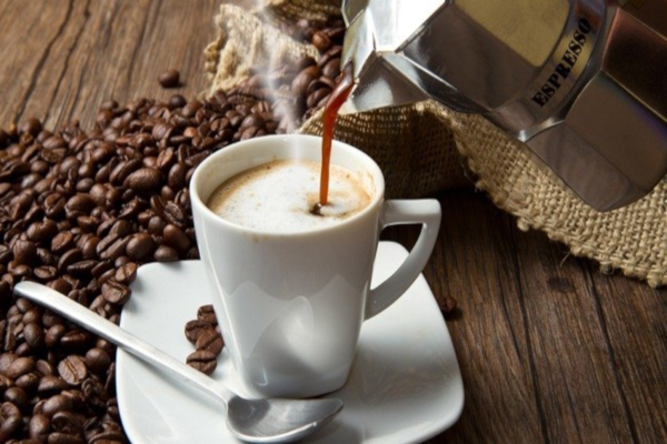 麝香猫咖啡加盟费