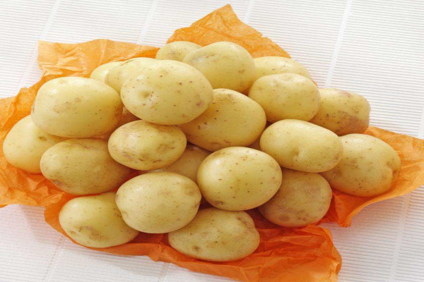 高山小土豆加盟费