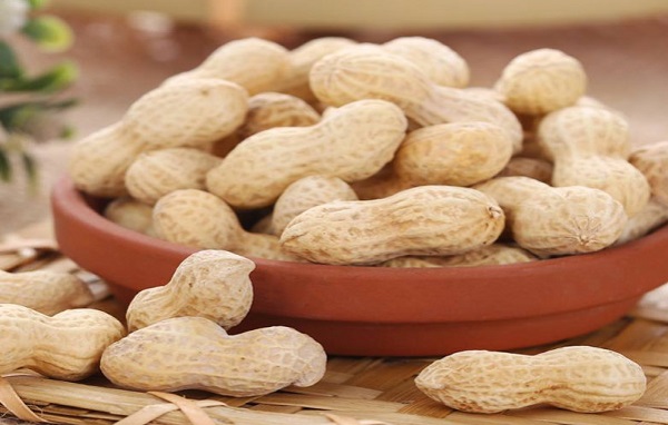 鲁大师食品加盟费