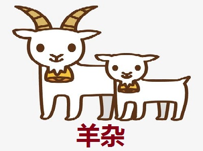 羊杂