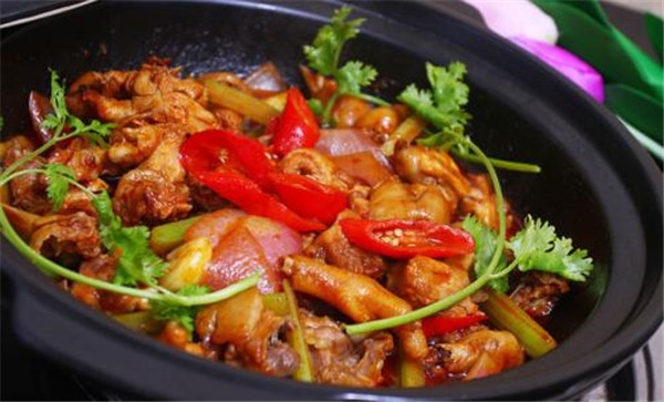 香辣鸡煲加盟店