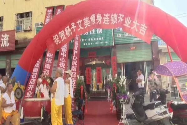 杨子艾美加盟费