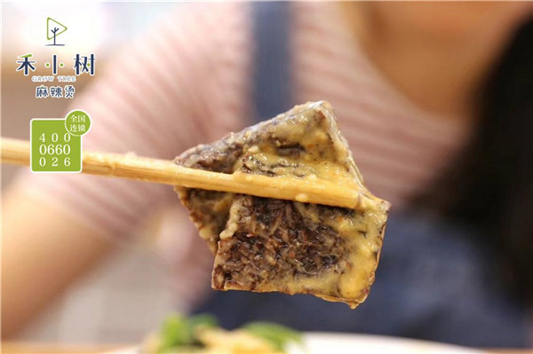 禾小树麻辣烫加盟店