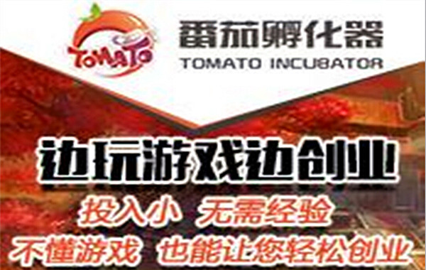 番茄孵化器加盟费