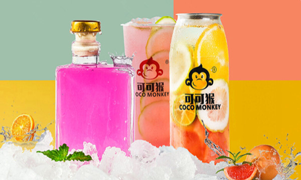 cocomonkey可可猴加盟费
