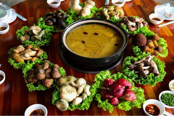 野山菌火锅加盟费