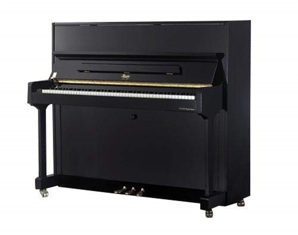 罗瑟钢琴加盟店