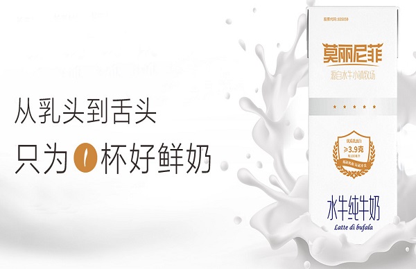 桂牛牛奶加盟费