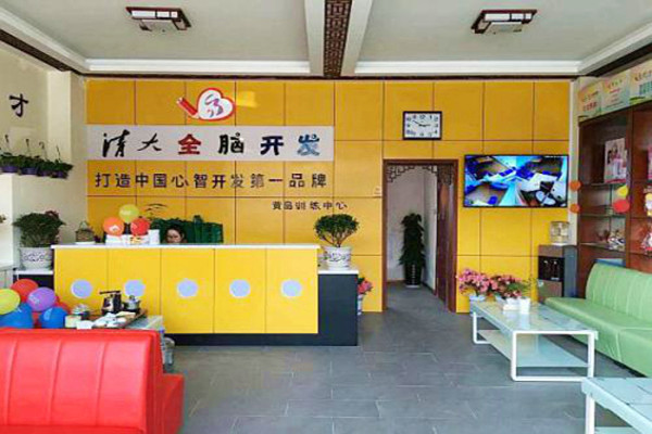 清大全脑加盟费