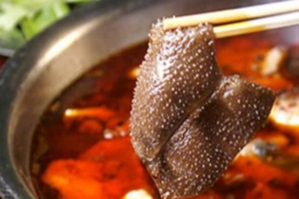 蜀栈毛肚火锅加盟费