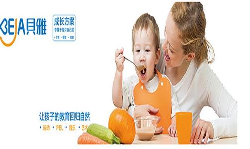 贝雅国际早教加盟费