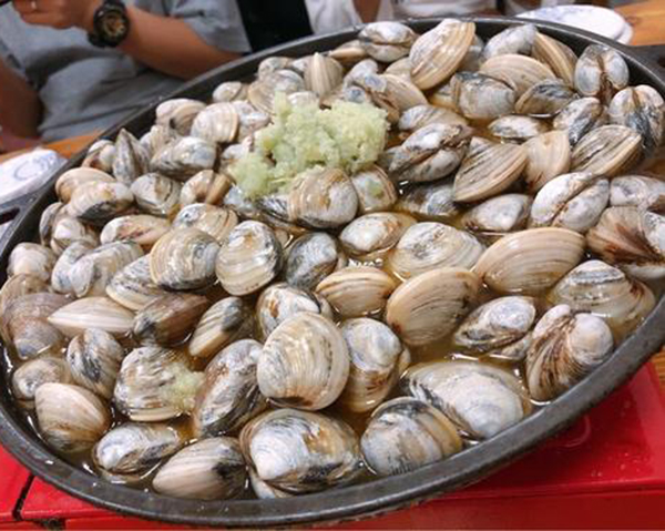 海叔卜卜贝加盟费