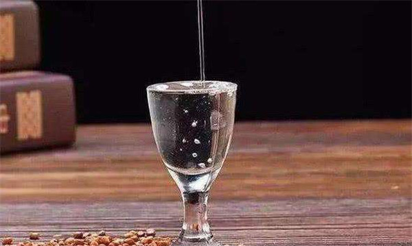 健巢酒业加盟费