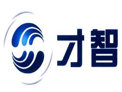 才智教育加盟费