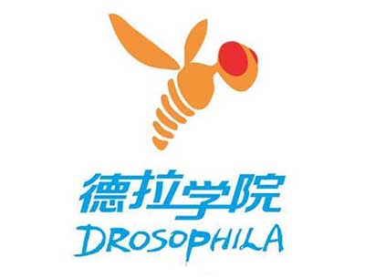 德拉学院加盟费