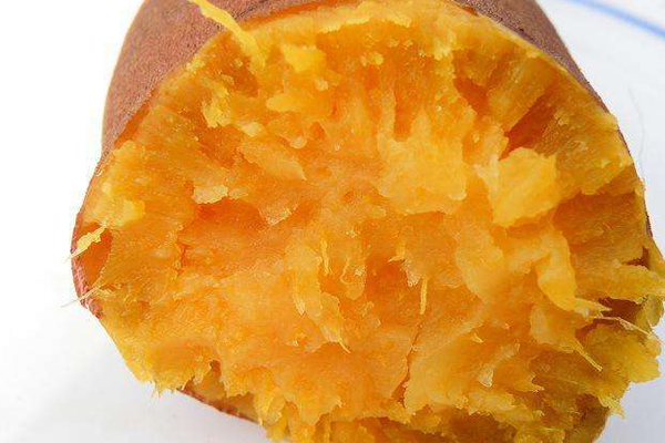 无皮烤红薯加盟费