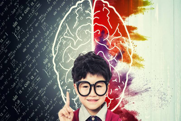 脑力训练加盟费