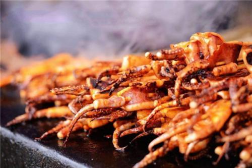 铁板料理加盟费