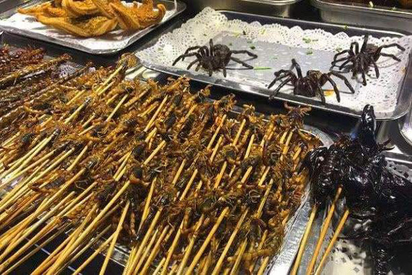 昆虫小吃加盟费