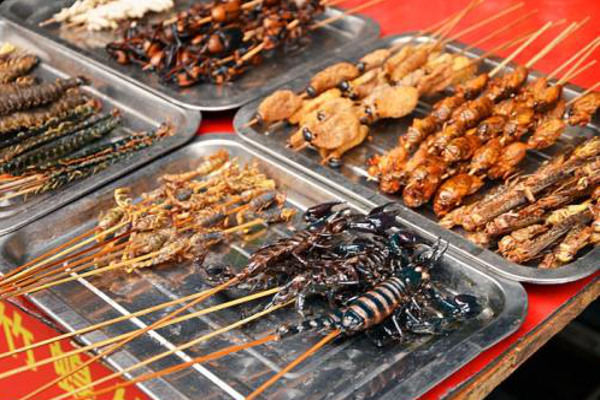 昆虫小吃加盟费