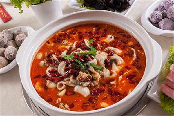 秧秧鱼火锅加盟店