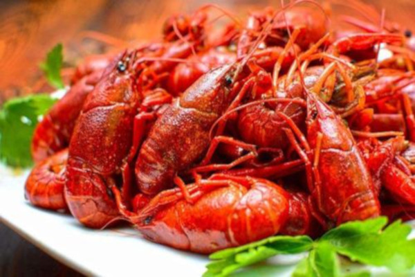 麻辣港湾加盟费