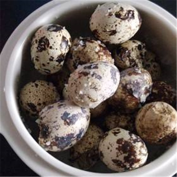 大盆盐焗鹌鹑蛋加盟店