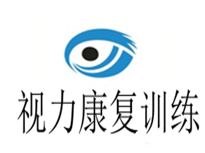 视力康复训练