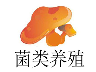 菌类养殖