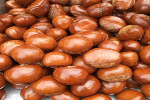 迁西糖炒栗子加盟费