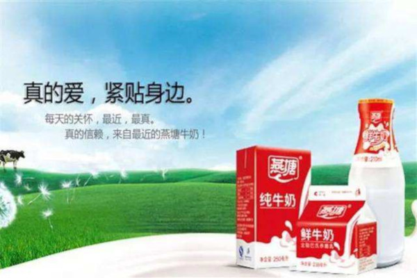 加盟燕塘牛奶要多少钱