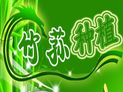 竹荪种植加盟费