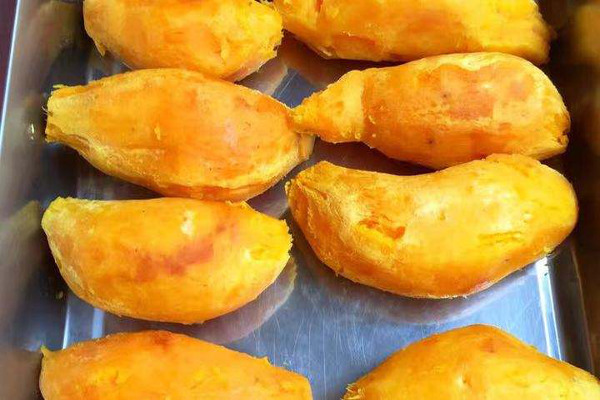 乐薯无皮烤地瓜加盟费