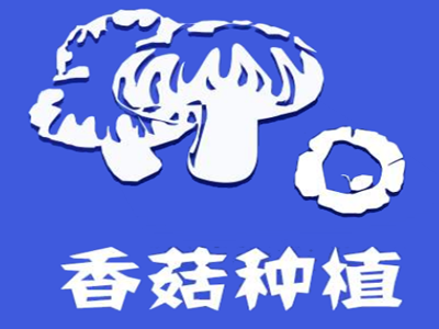 香菇种植加盟费