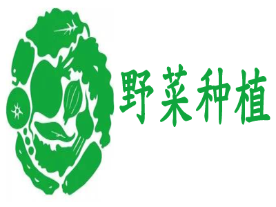 野菜种植加盟费