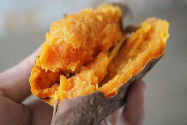 薯立方烤地瓜加盟费