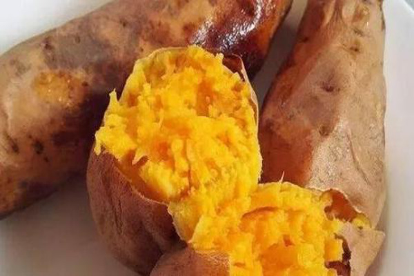 薯立方烤地瓜加盟费