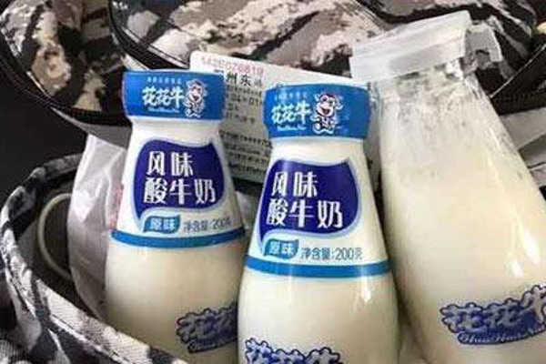 花花牛酸奶加盟费