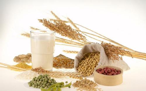 九阳豆浆加盟费