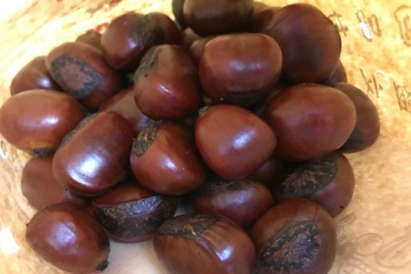 盛文甘栗加盟费