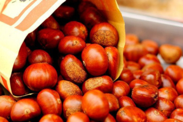 栗妃板栗加盟费